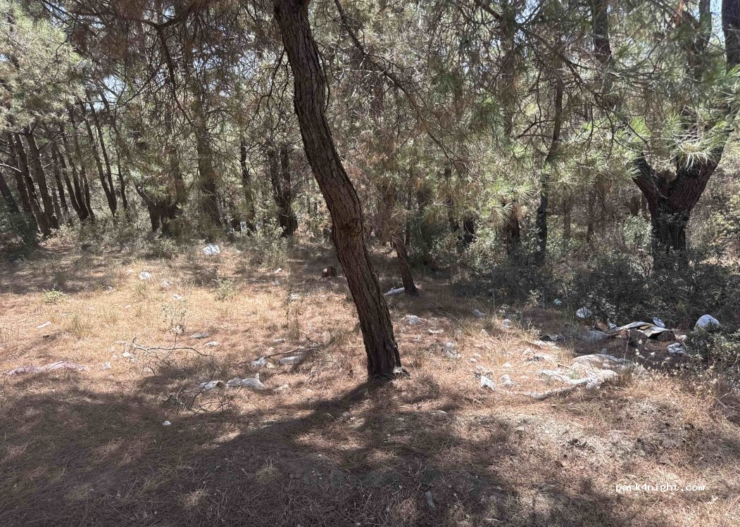 (35920) Çamlık - — foto 5