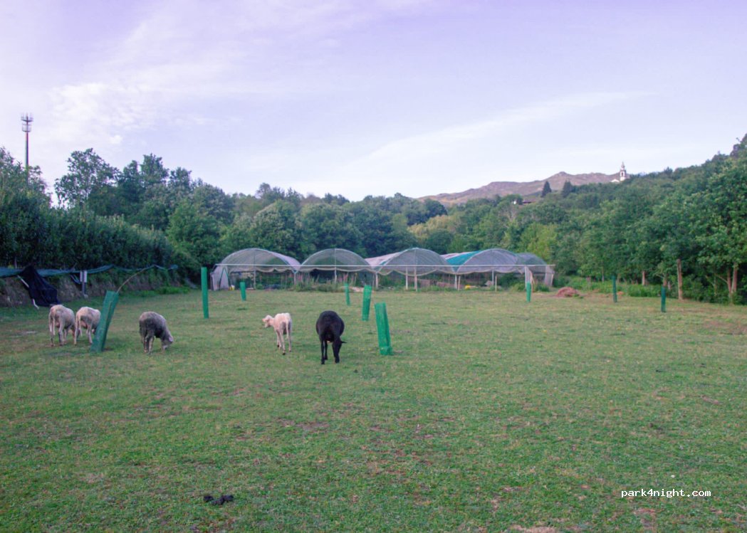 Vale do Caracol — foto