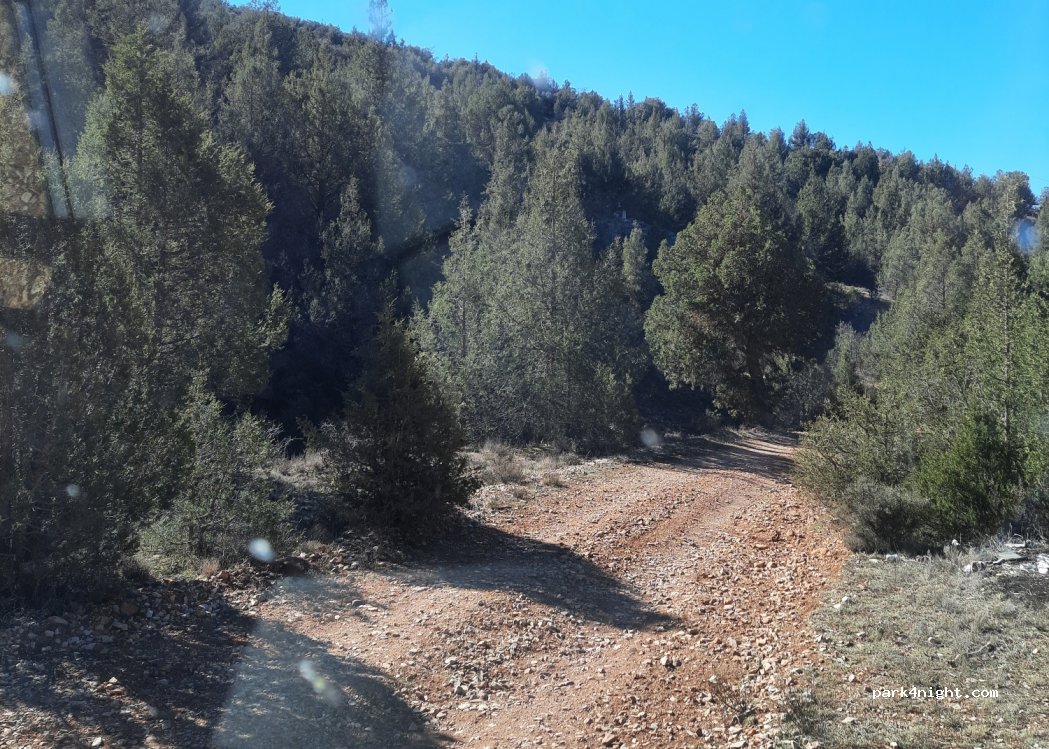 (44125) Royuela - — foto