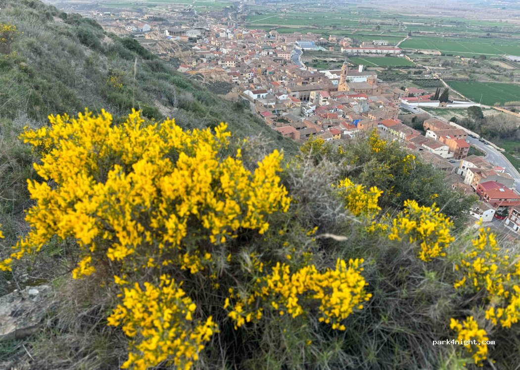 (22410) Alcolea de Cinca - — foto