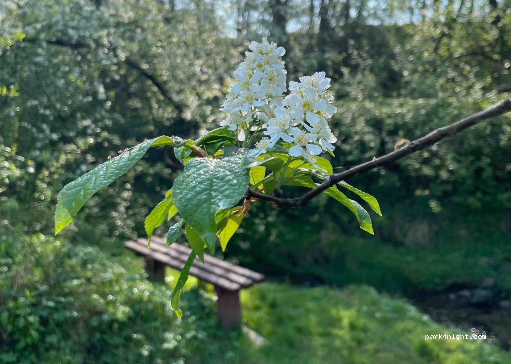 Biwak Na Sygulnej — foto 3