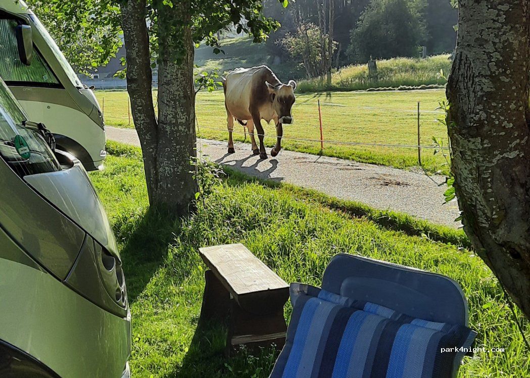 Camping Nufenen — foto 3
