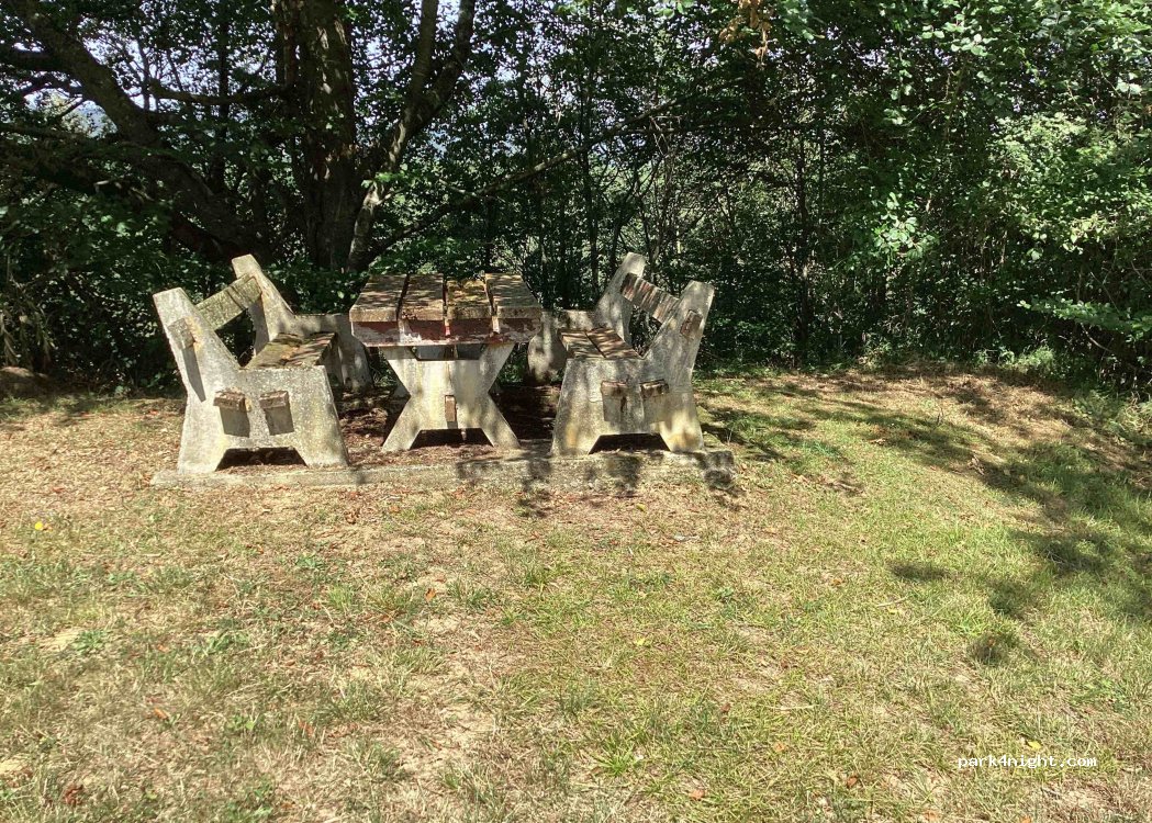 (65190) Poumarous - D28 — foto 3
