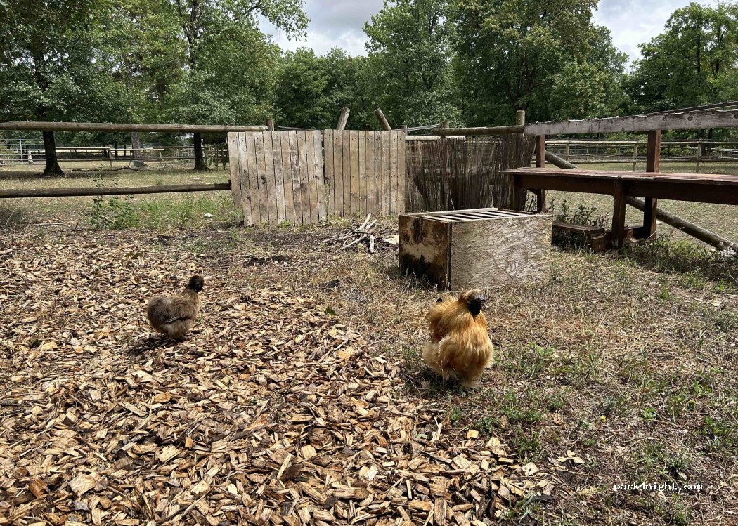 Ranch des sablons — foto 5