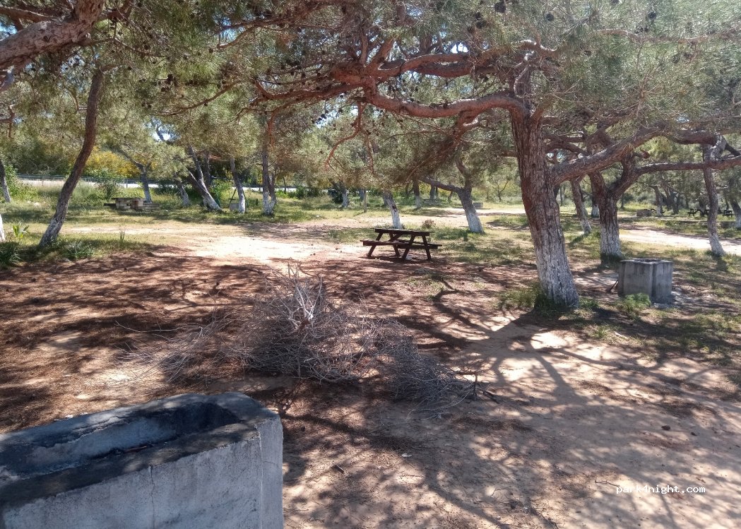 Dipkarpaz - Karpaz Anayolu — foto