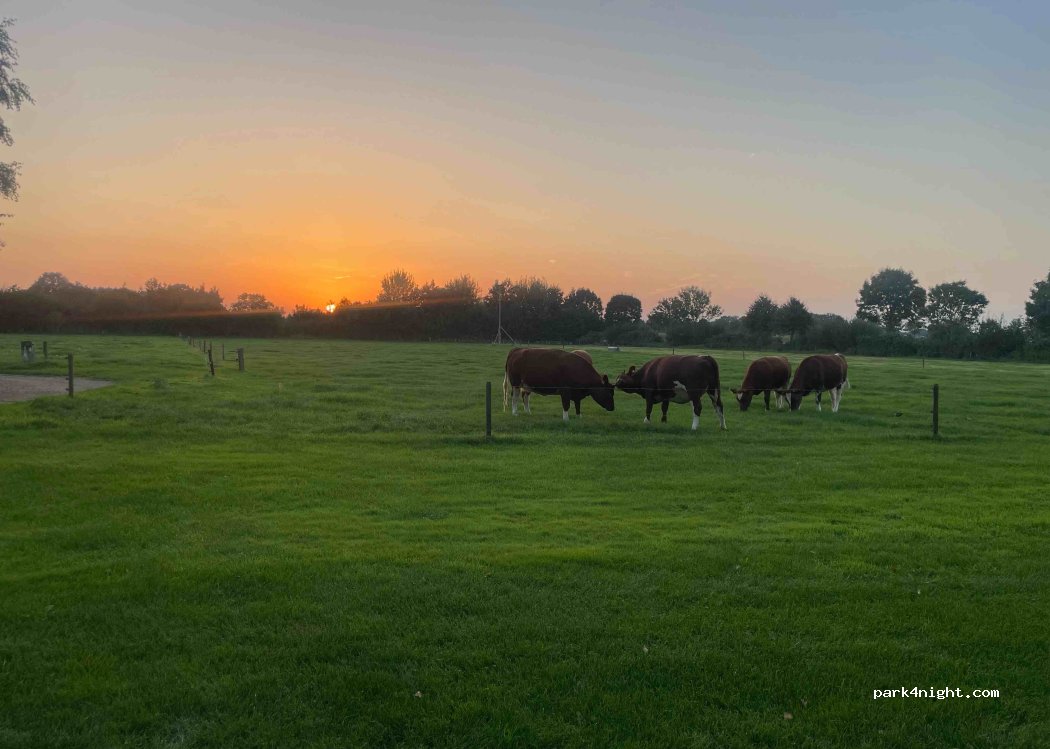 Kampeerhoeve Bussloo — foto 4