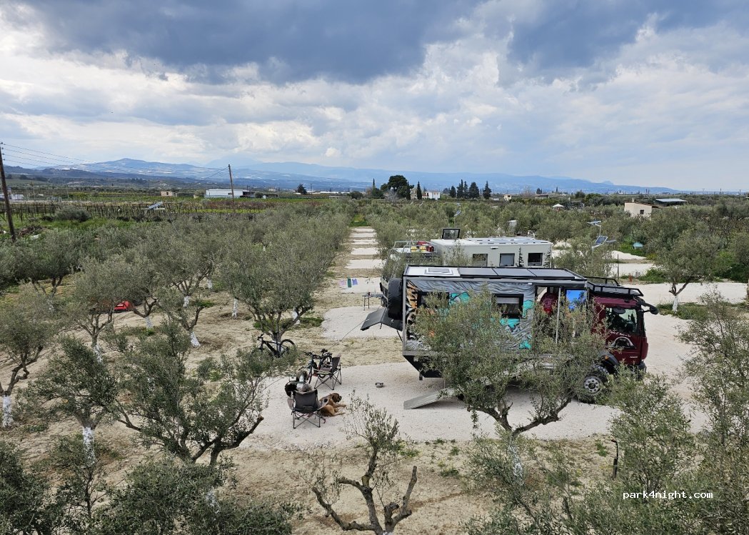 Camperstop Olivetree — foto
