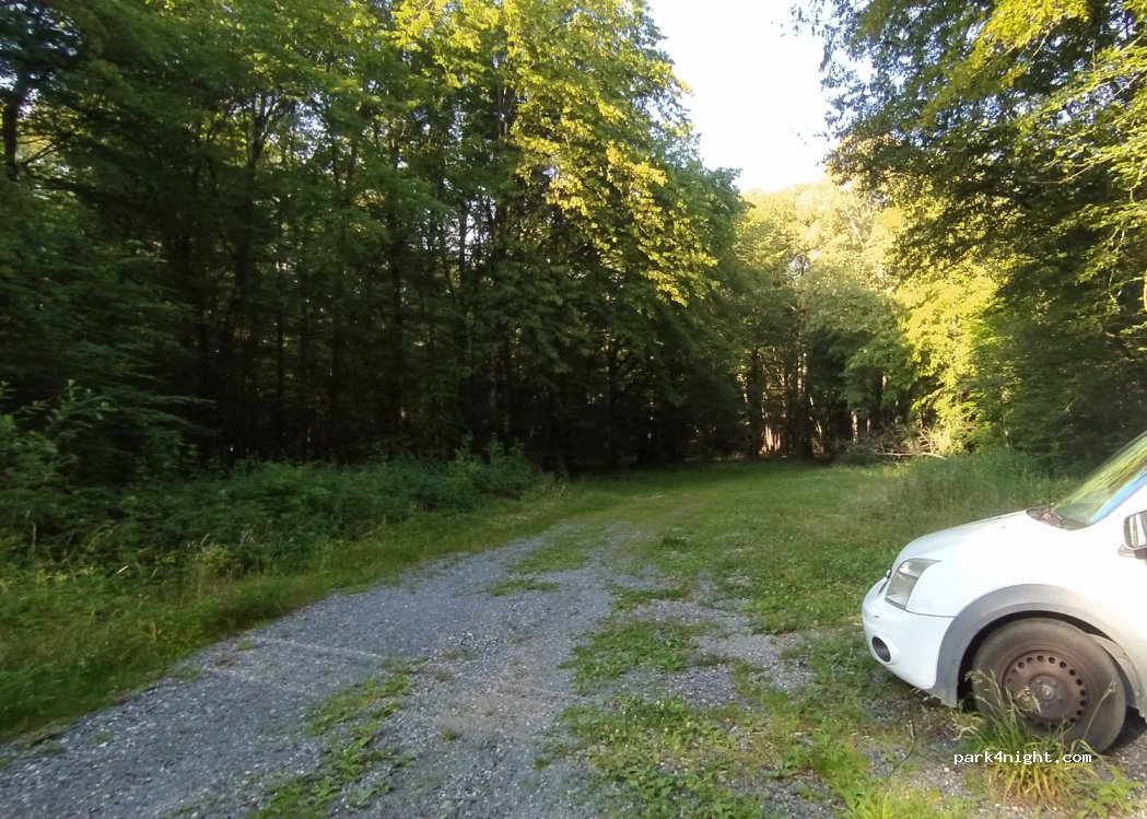 (51120) La Forestière - — foto 3