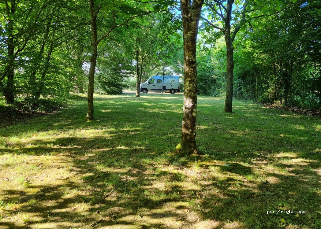 (44110) Louisfert - La Forêt — foto 3