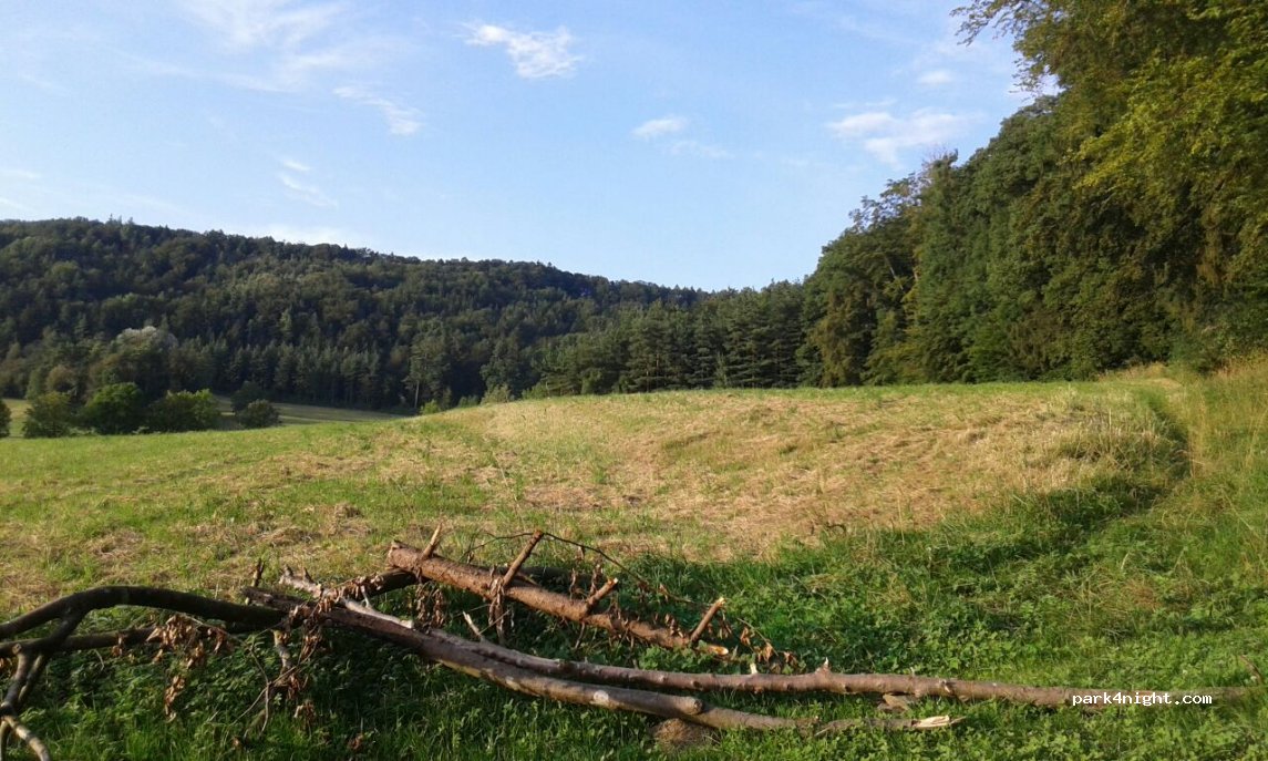 (8954) Geroldswil - Aeschbrigweg — foto 2