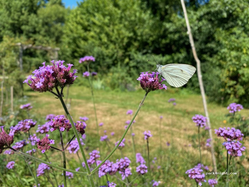 Moulin de la Rouchotte — foto 5