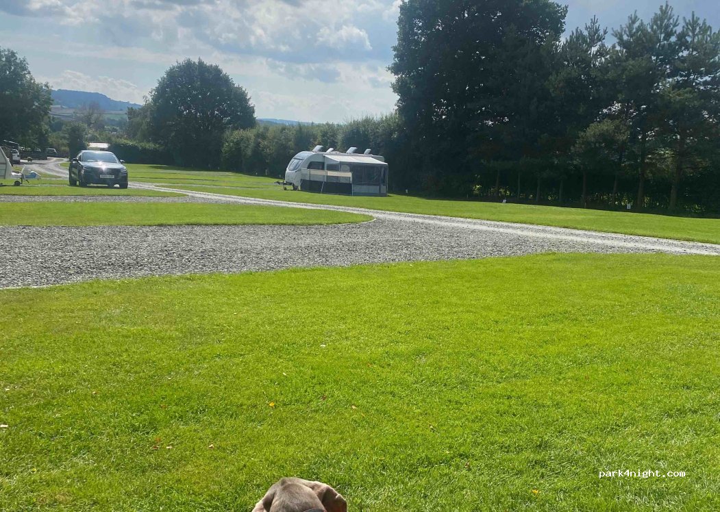 Wayside Camp Site — foto 2