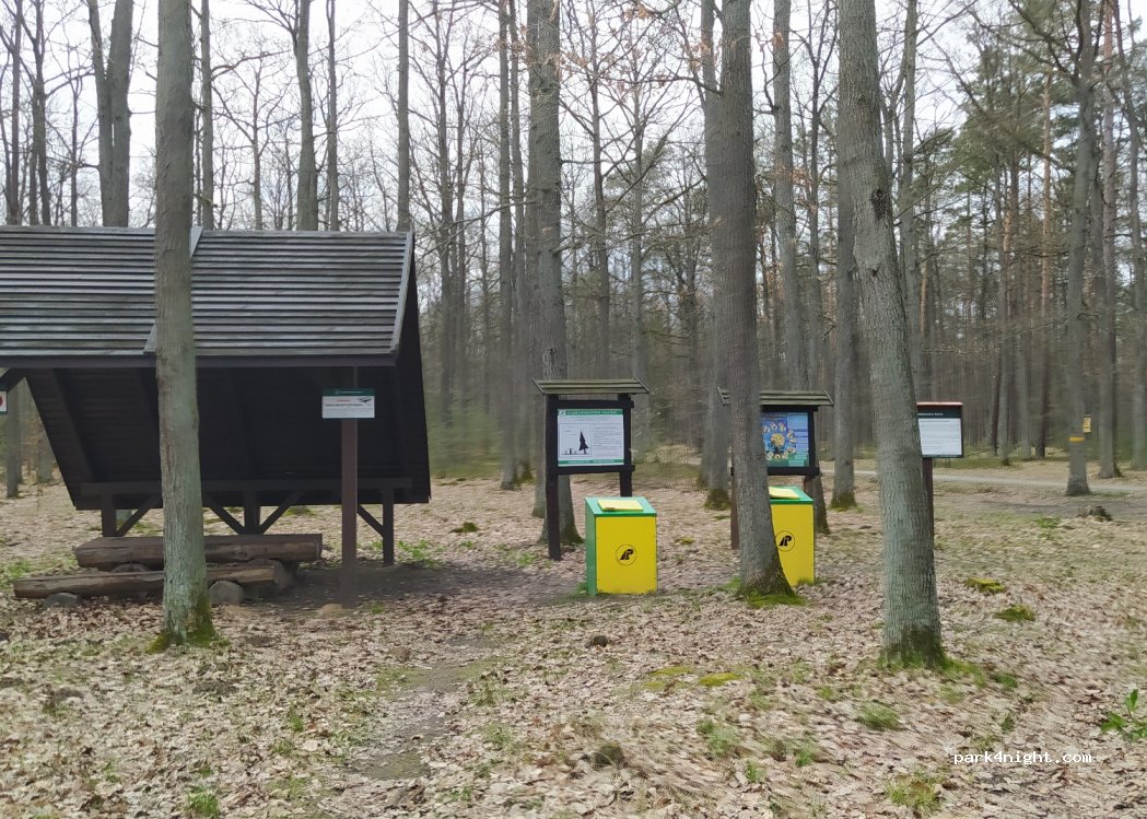 (63-620) Piotrówka - 39 — foto 2
