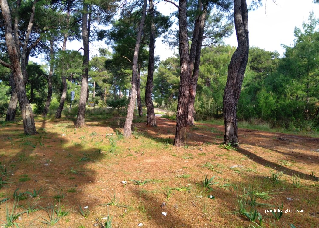 (48850) Kayadibi - — foto
