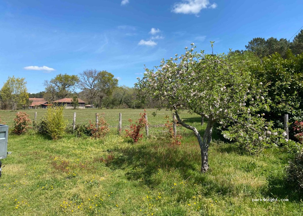 (40560) Vielle-Saint-Girons - 11 Route de Bernadon — foto