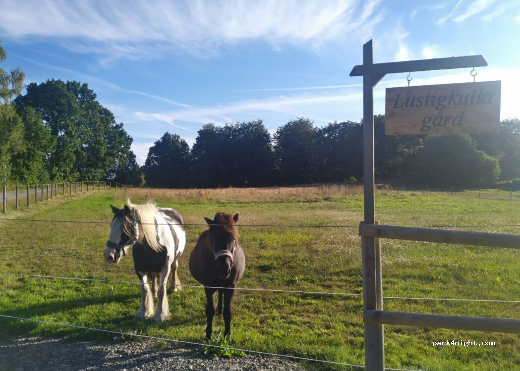 Lustigkulla Gård Ställplats — foto