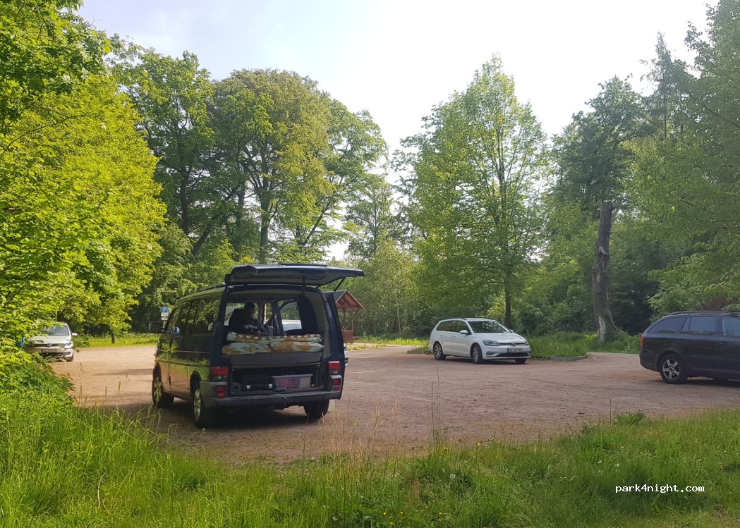 (09306) Rochlitz - — foto