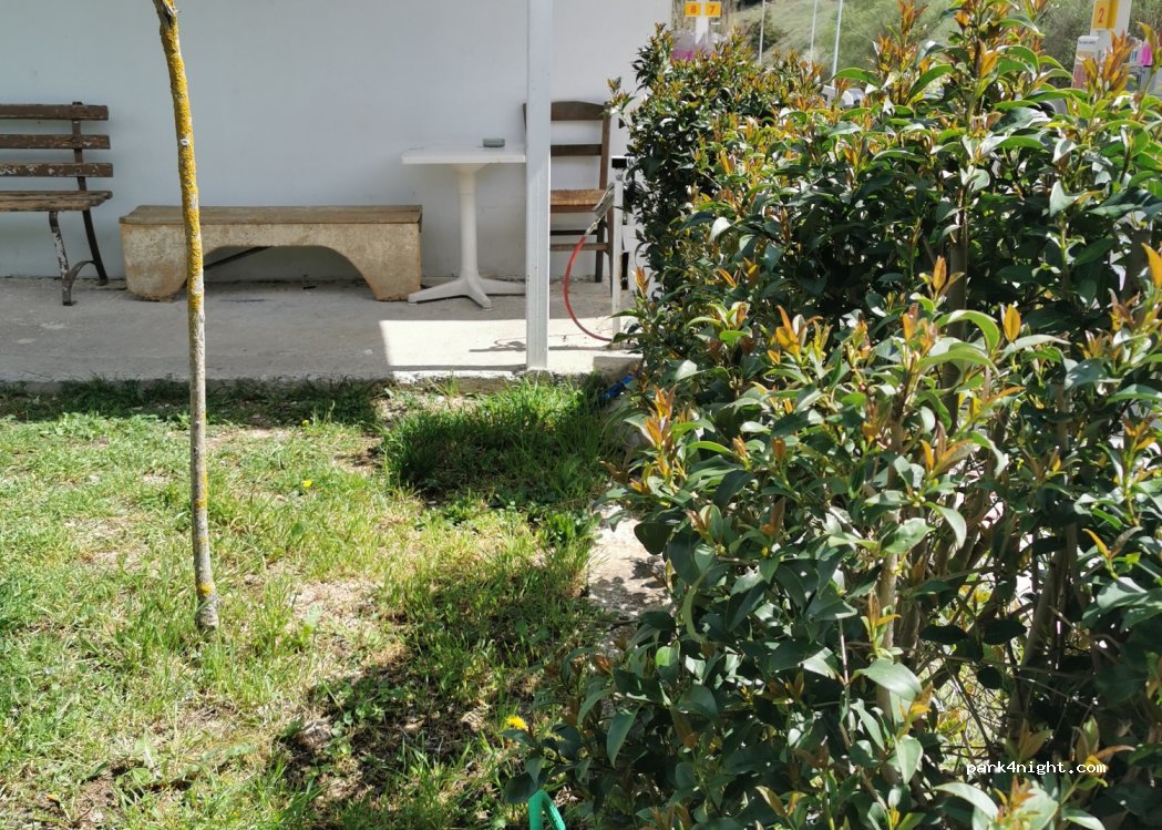 (250 01) Kalavrita - Megalou Spileou — foto