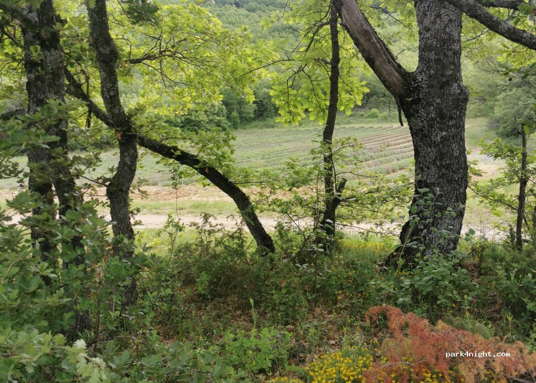 (04150) Banon - Unnamed Road — foto 2