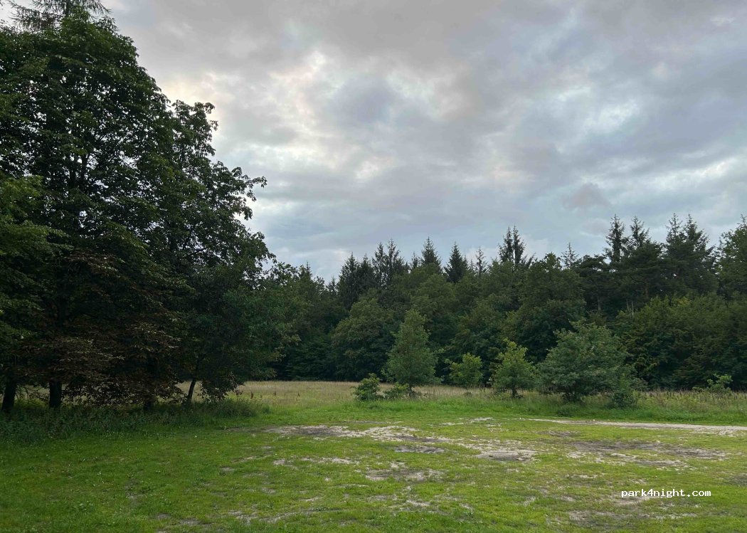 (24852) Langstedt - — foto