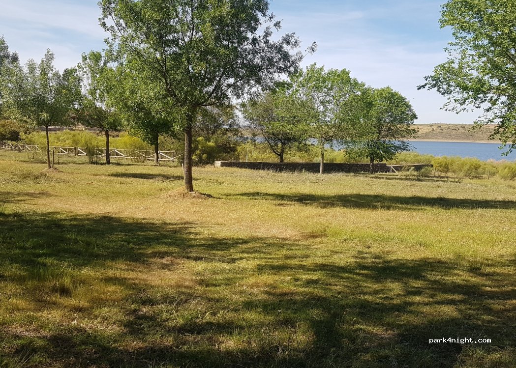 (06679) Peloche - BAV-7114 — foto