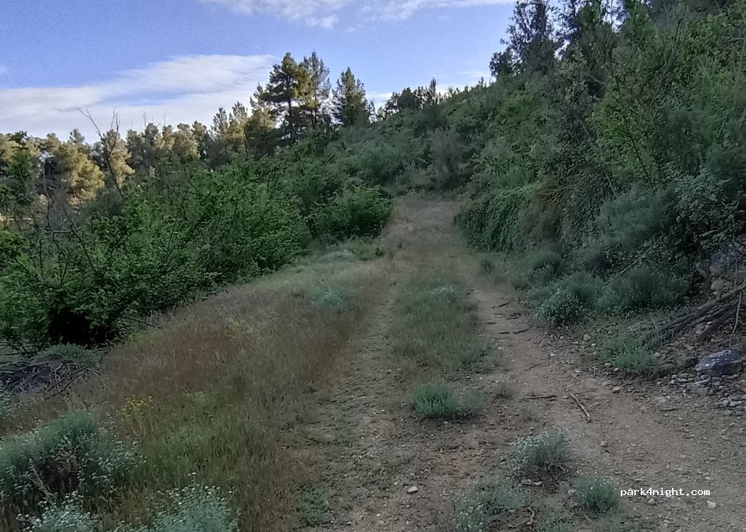 (43746) Tivissa - — foto 2