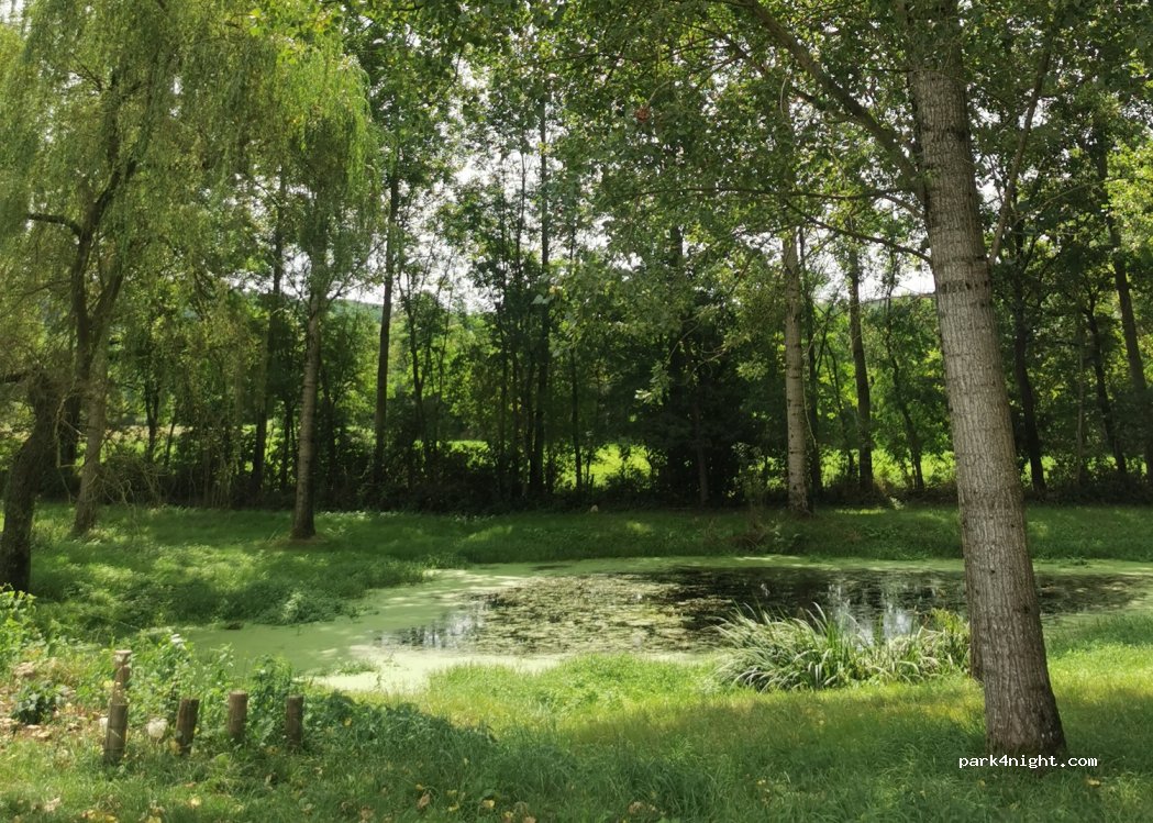 (12310) Bertholène - D259 — foto 2