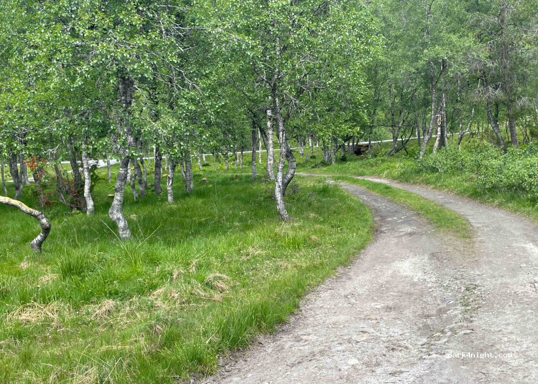 (6978) - Fylkesvei 13 — foto 3
