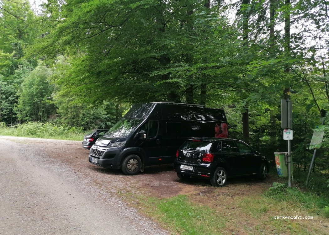 (87761) Lauben - — foto 2