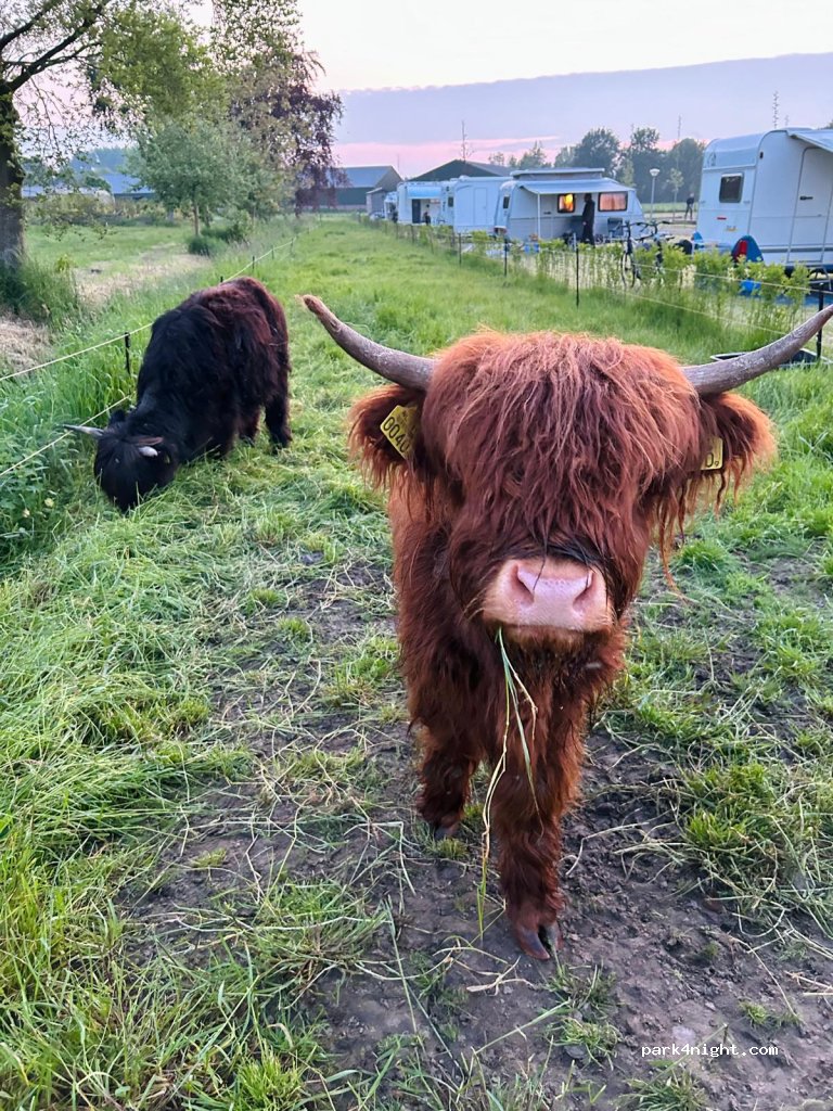 Bij Boer Jos — foto 5