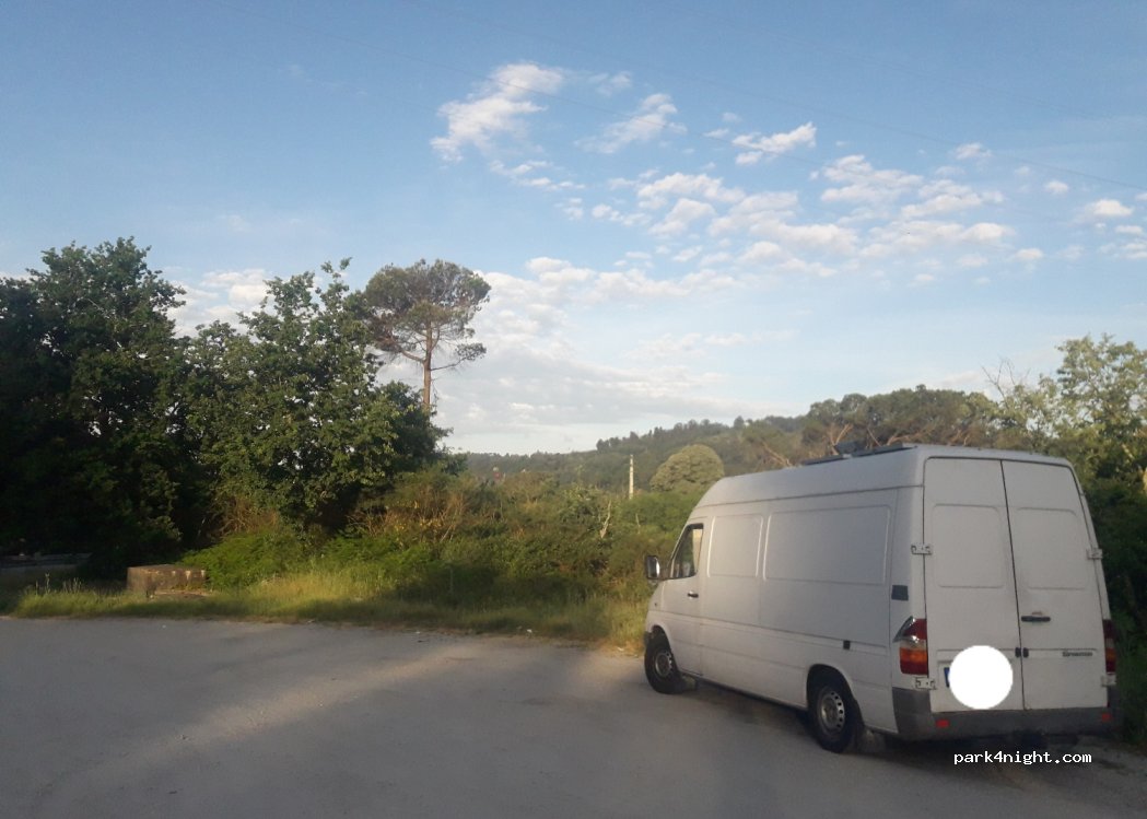 (3520) Santar - N231 — foto