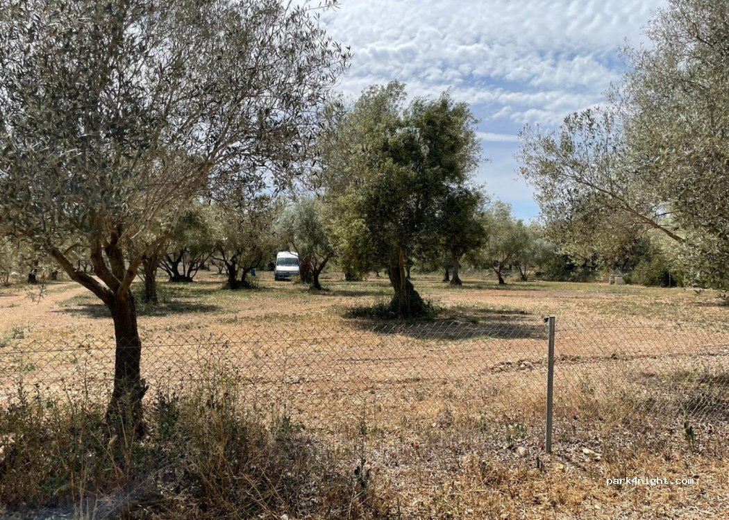 (12510) San Rafael del Río - — foto