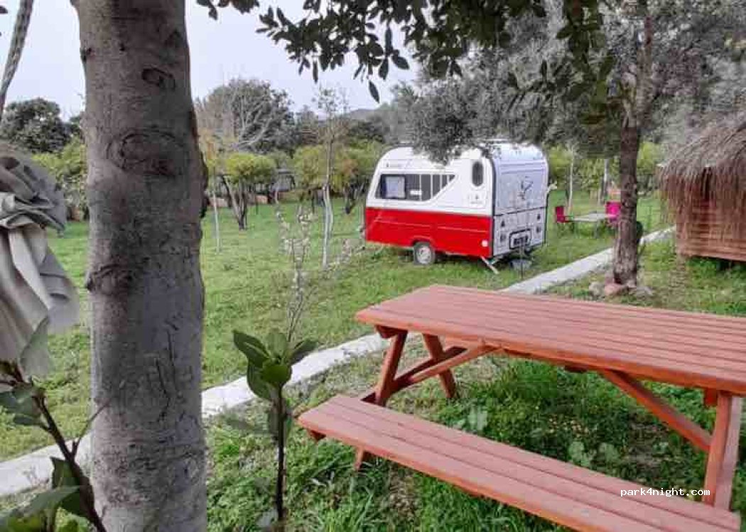 Bodrum Masali Camping — foto