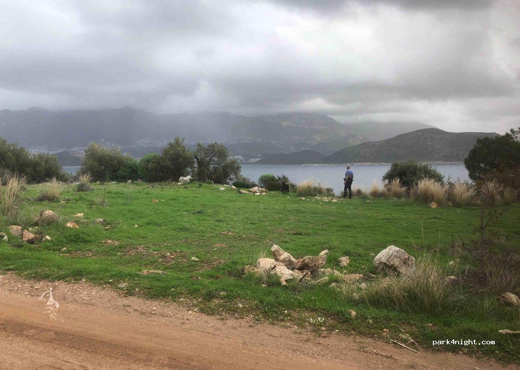 (07976) Gelemiş - — foto 2