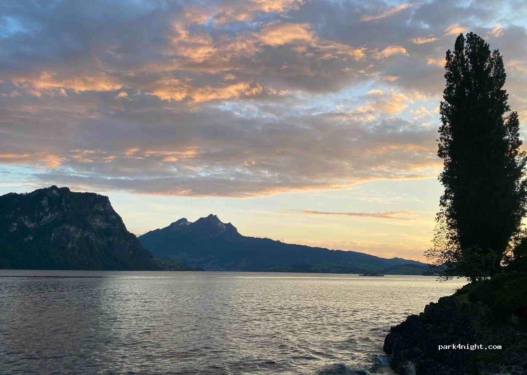 (6353) Weggis - 1 Riedsortstrasse — foto 3