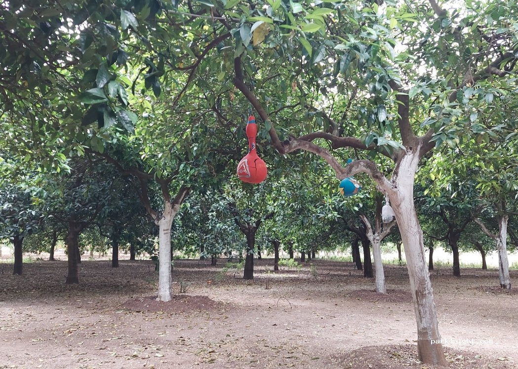BDR Adrasan Camping — foto