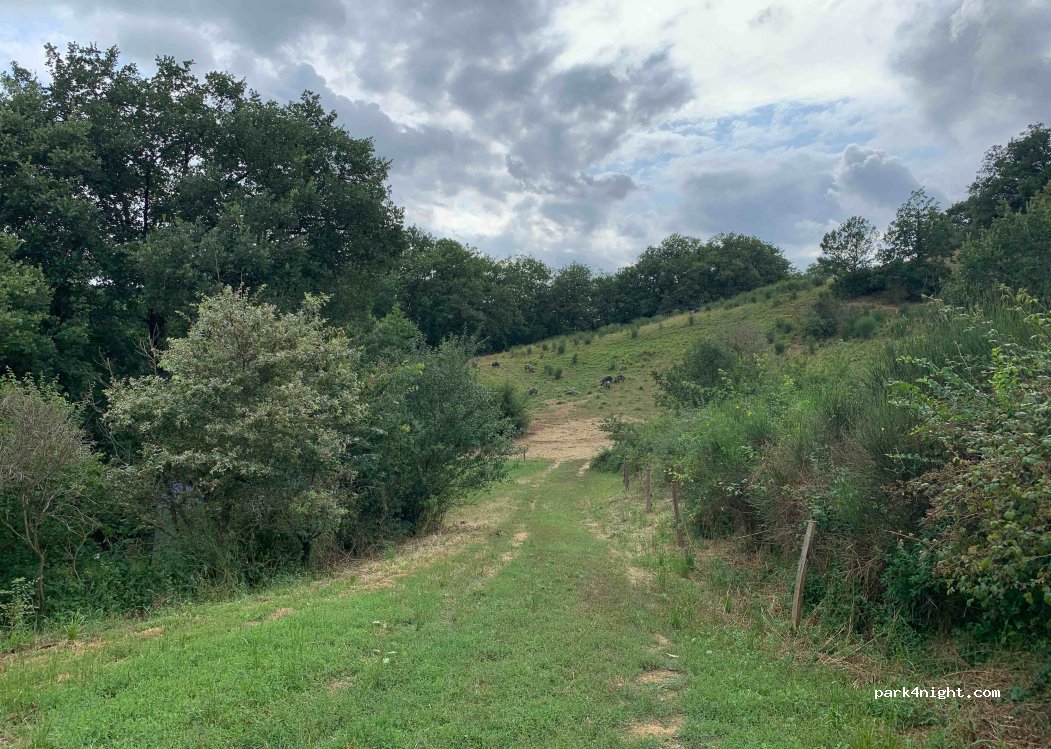 Domaine REY — foto 4