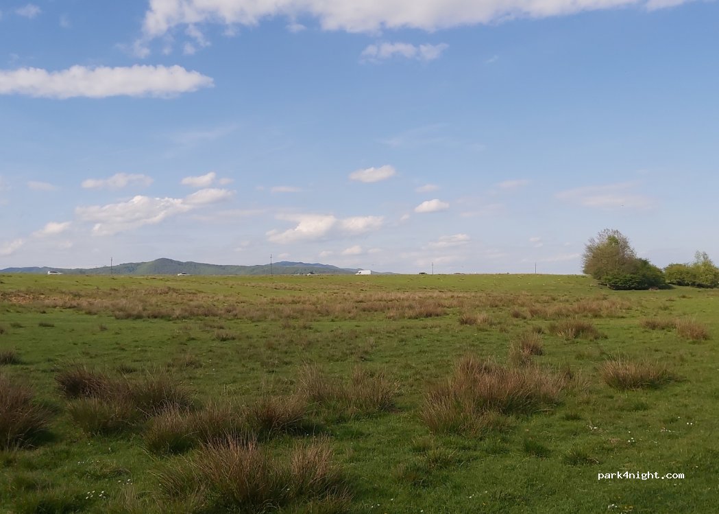 (507061) Vlădeni - — foto