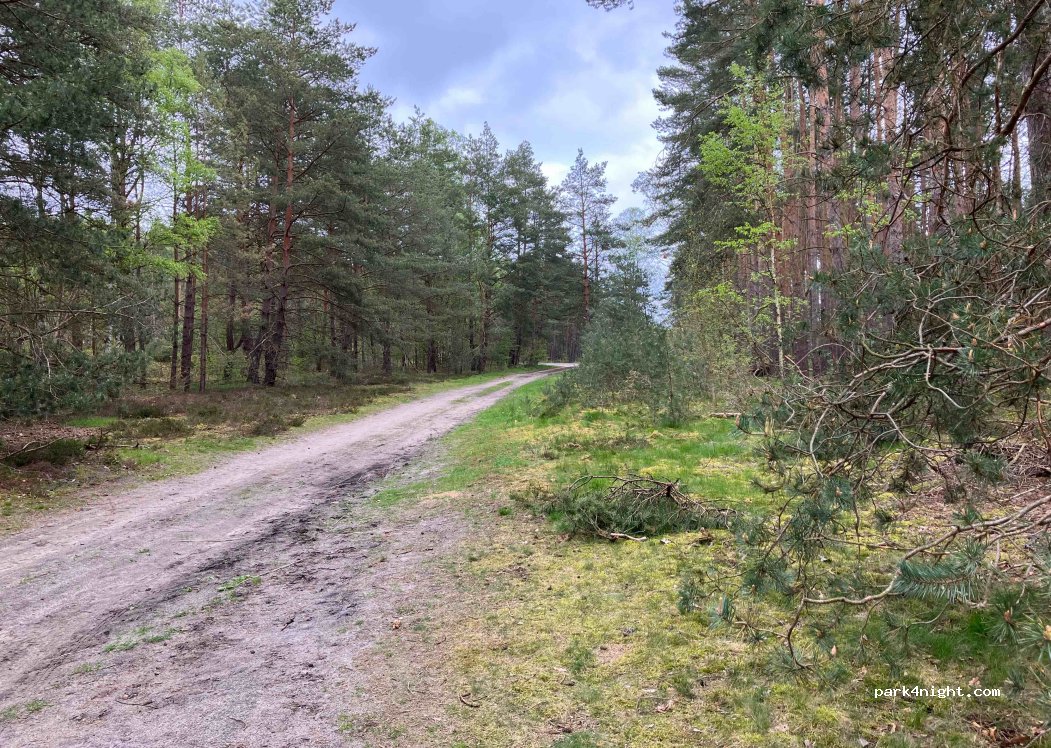 (38524) Sassenburg - — foto