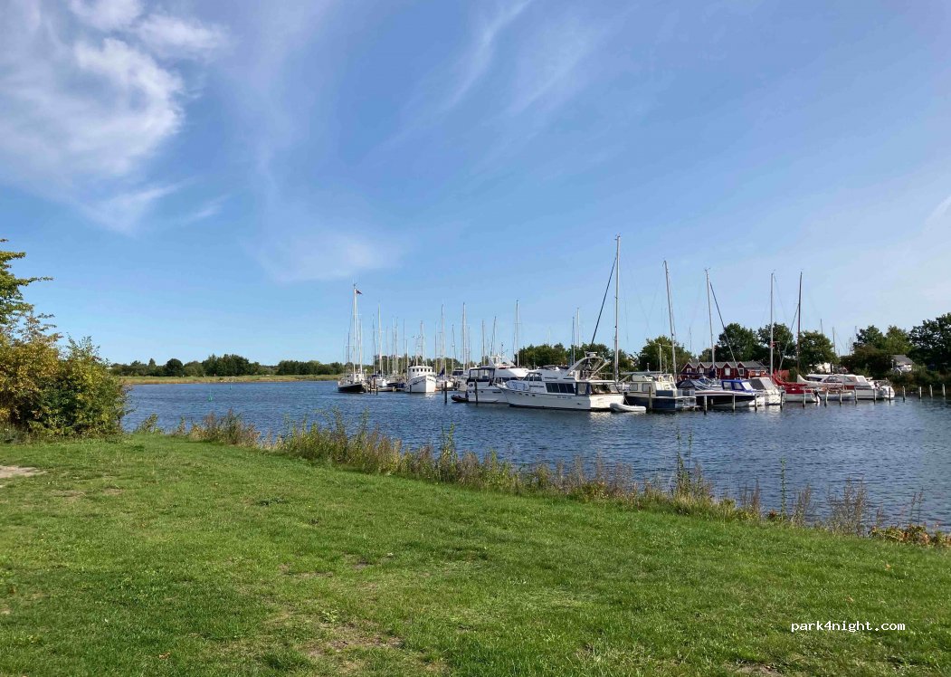Tangloppen Camping — foto 2