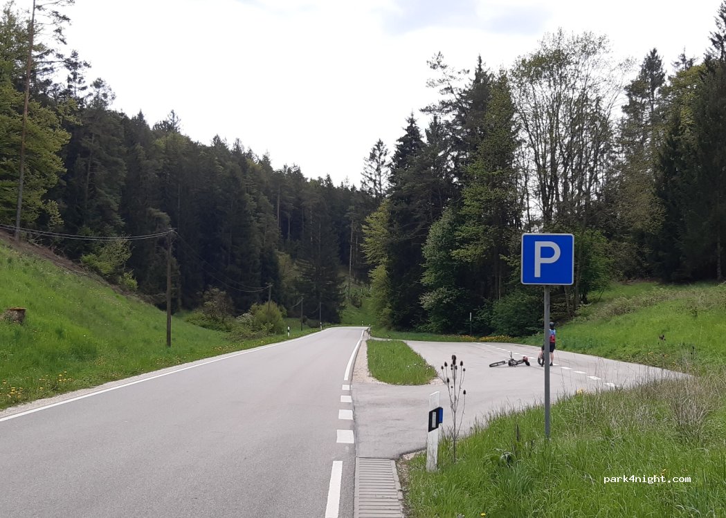 (85137) Walting - St2336 — foto