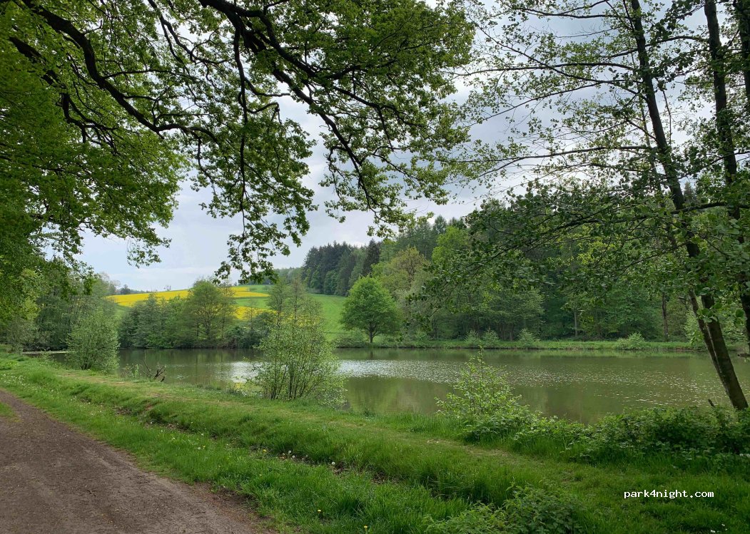 (63589) Linsengericht - — foto