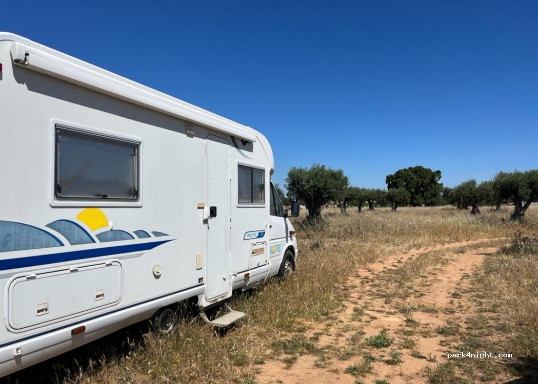 (7050) São Cristóvão - CCI 4224, Foros da Amendonça — foto