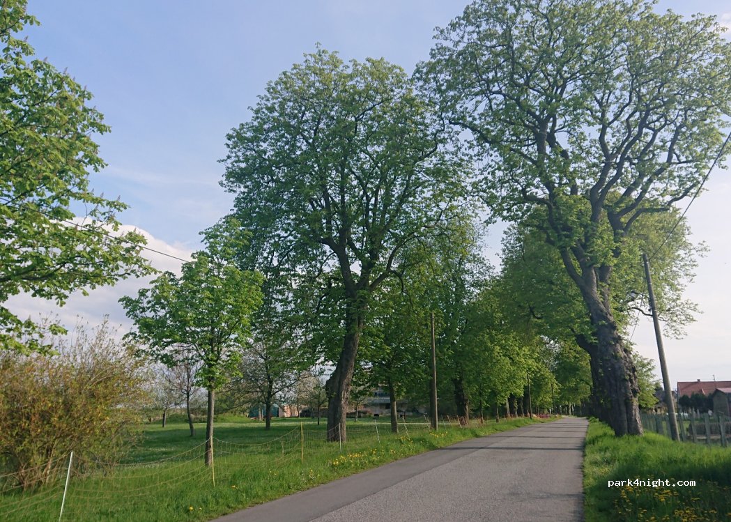 (01847) Lohmen - Kastanienallee 12 — foto