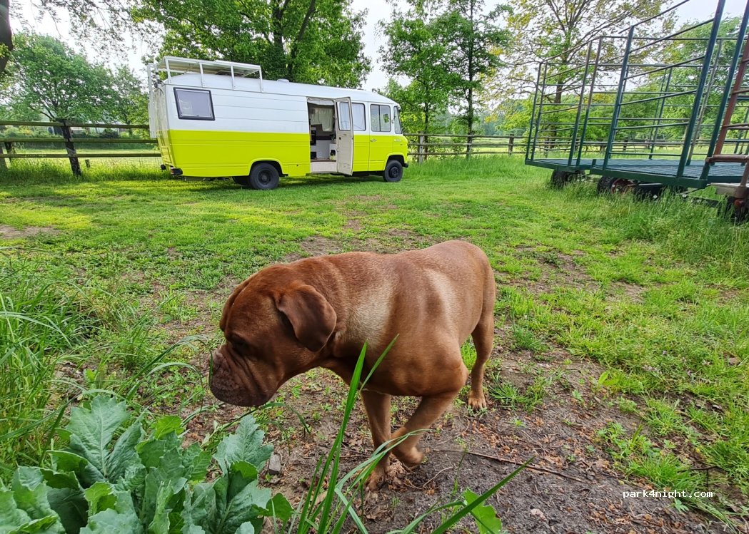 (46286) Dorsten-Lembeck - Moorbecke 27 — foto