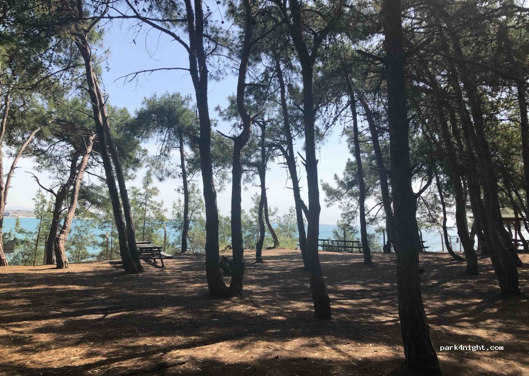(01900) Karataş - Orman Caddesi — foto