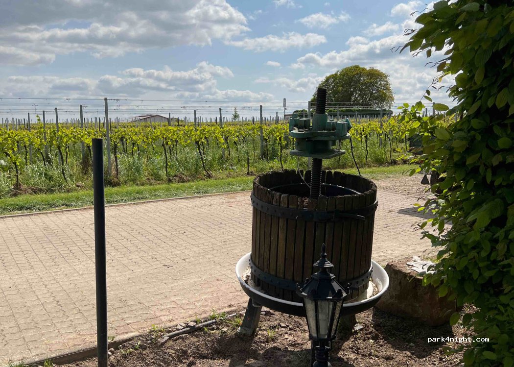 Villa Hochdörffer | Weingut & Gästehaus — foto