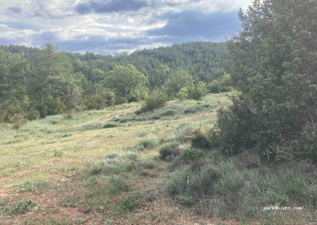 (50685) Urriés - Unnamed Road — foto