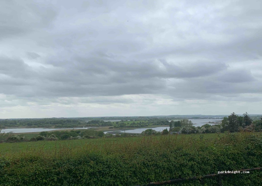 (N37 PX51) Newforest - N55 — foto 3