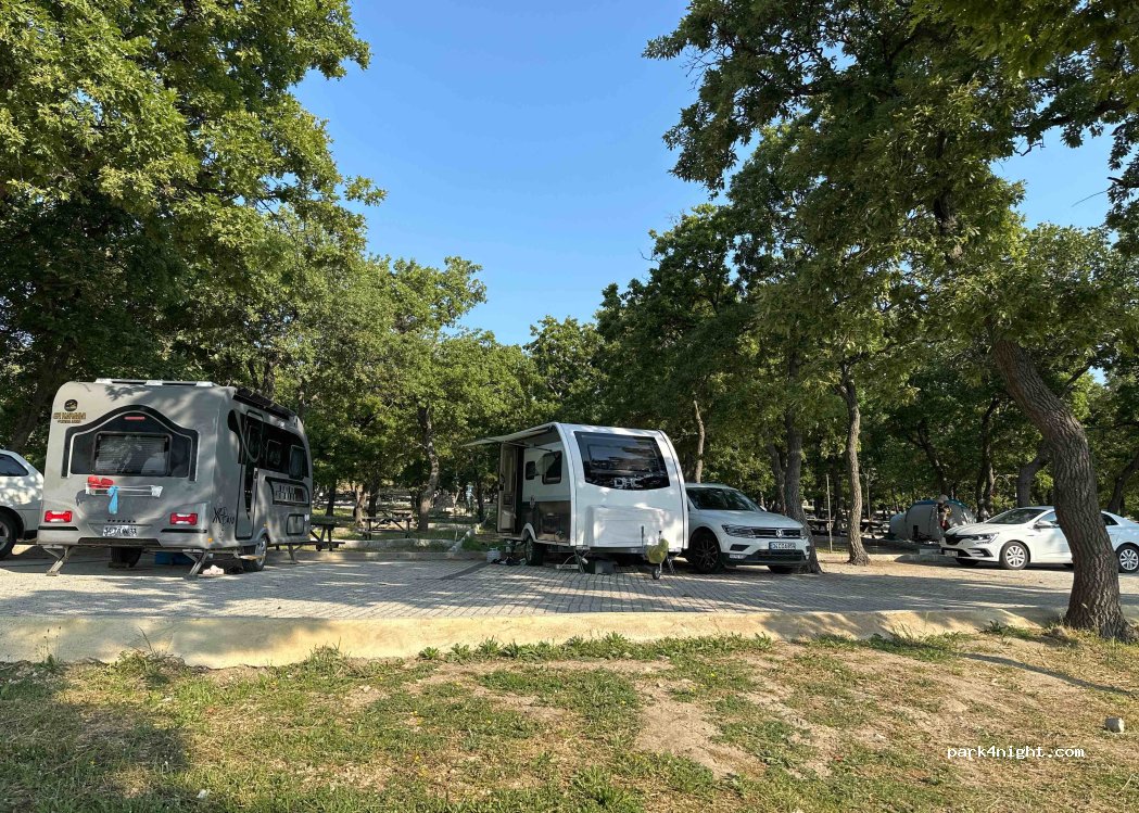 Danisment Orman Kamping — foto
